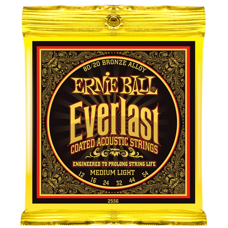 Ernie Ball 2556 набор струн для 6-струнной акустической гитары, размер 12-54