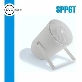 Громкоговоритель CVGaudio SPP6T