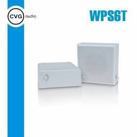 Громкоговоритель CVGaudio WPS6T