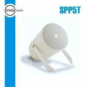 Громкоговоритель CVGaudio SPP5T