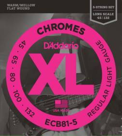 D'Addario ECB81