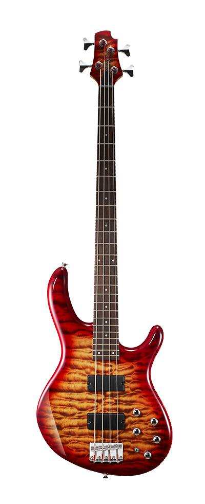 CORT Action DLX Plus CRS