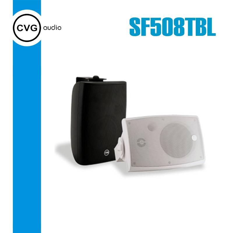 Громкоговоритель CVGaudio SF508TBL