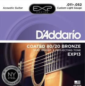 D'Addario EXP13