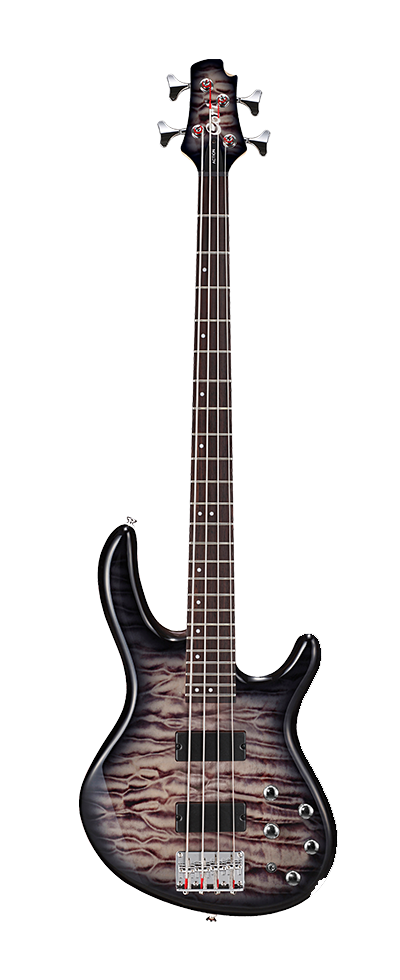 CORT Action DLX Plus FGB