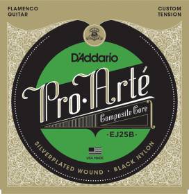 D'Addario EJ25B