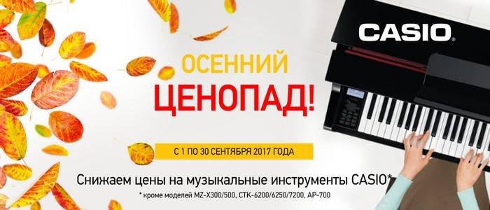 Осенний ценопад на электронные музыкальные инструменты CASIO Осенний ценопад на электронные музыкальные инструменты CASIO