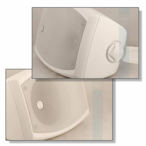Громкоговоритель CVGaudio ODF408TW