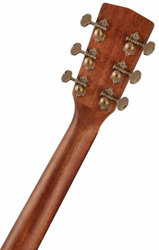 Cort EARTH80 NS