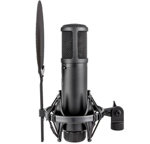 SE ELECTRONICS SE 2200