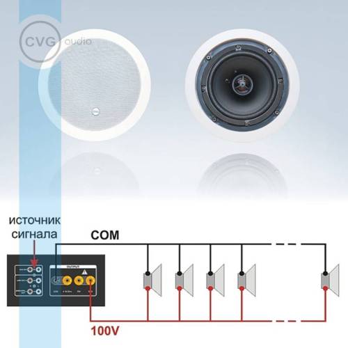 Громкоговоритель CVGaudio CRX8T