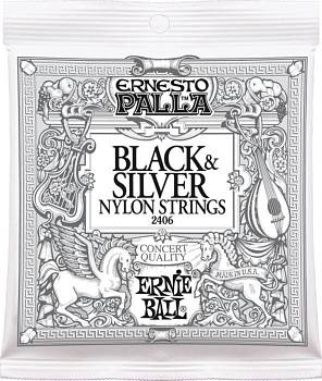 Ernie Ball 2406