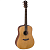 BATON ROUGE X11C/D Гитара акустическая Dreadnought, 6 струн, цвет натураный
