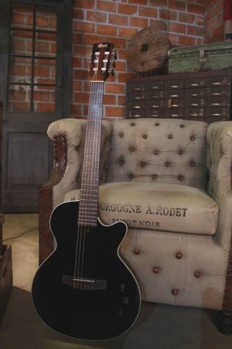 Cort Sunset Nylectric BK