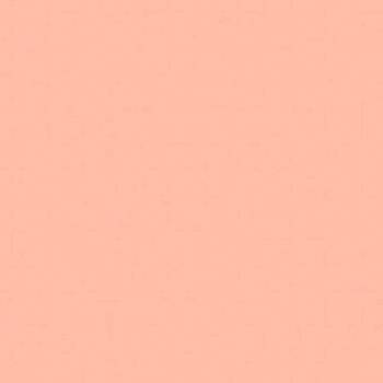 ROSCO Supergel №304 Pale Apricot