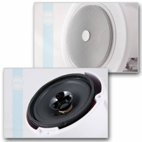 Громкоговоритель CVGaudio CRW4T