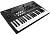 KORG WAVESTATE Cинтезатор полифонический цифровой
