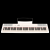 Artesia Performer White