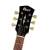CORT CR250 DBB CORT CR250 DBB