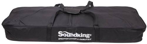 SOUNDKING DI009