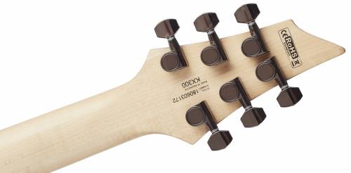 CORT KX300 OPCB