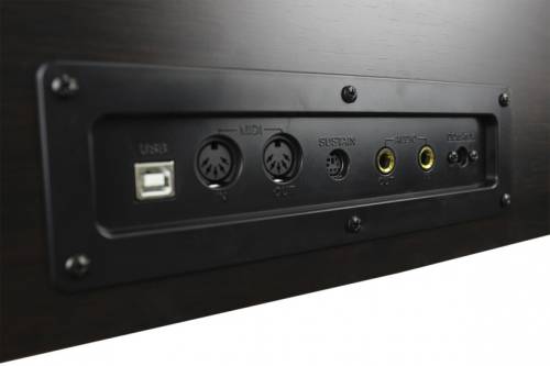 SOLISTA DP801R