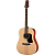 Walden D350W Гитара акустическая Dreadnought, с чехлом