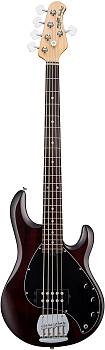 Sterling by MusicMan SUB Series RAY5-WS-R1