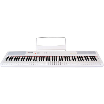 Artesia Performer White