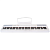Artesia Performer White Пианино цифровое, 88 клавиш, цвет белый