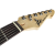 Peavey Raptor Plus Sunburst