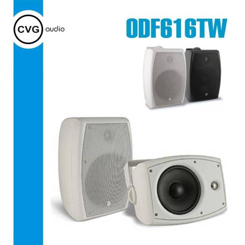 Громкоговоритель CVGaudio ODF616TW