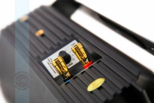 CVGaudio RF616TBl - Громкоговоритель настенный