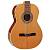 Гитара электроакустическая LaPatrie Etude B-Band G-3 20508(357)