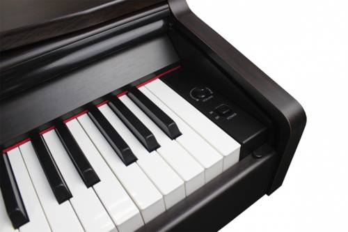 SOLISTA DP801R
