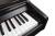 SOLISTA DP801R