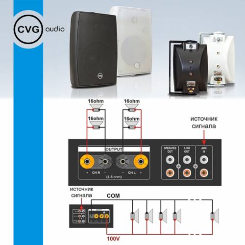 Громкоговоритель CVGaudio SF616TBL