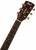 Cort EARTH80 NS