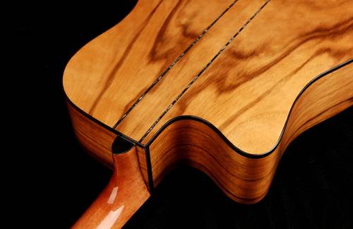 Oriental Cherry W-300-41