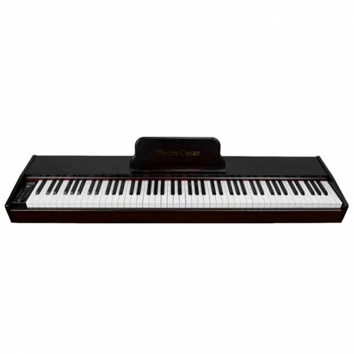 Pierre Cesar DP-121-H-BK