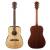 FENDER F-1000 Dreadnought Natural
