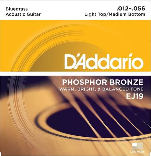 D'Addario EJ19