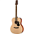 Walden O350W Гитара акустическая Folk, с чехлом