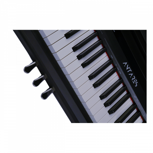 Antares D-300