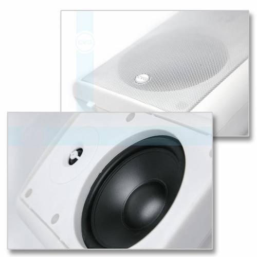 Громкоговоритель CVGaudio NF5TW