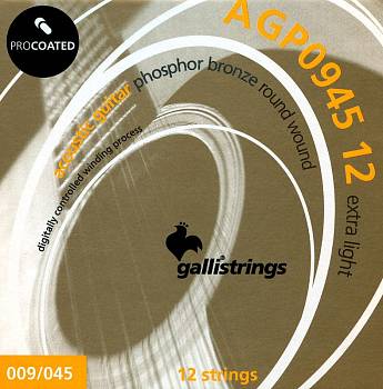 AGP0945-12 1