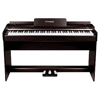 DP600RW