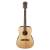 FENDER F-1000 Dreadnought Natural