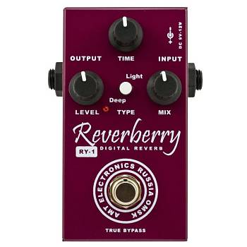 AMT Electronics RY-1