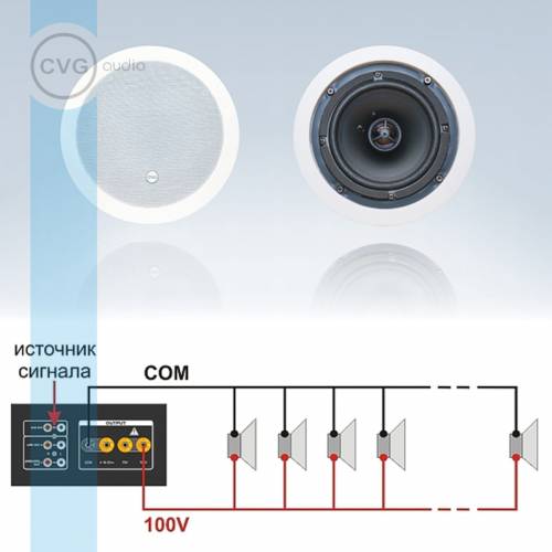 Громкоговоритель CVGaudio CRX6T